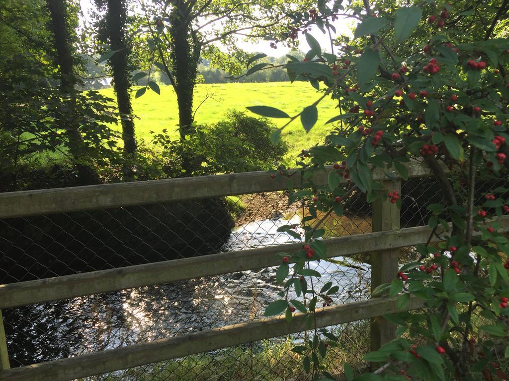 Riverbank, Country Pub And Guesthouse キャリックマクロス エクステリア 写真