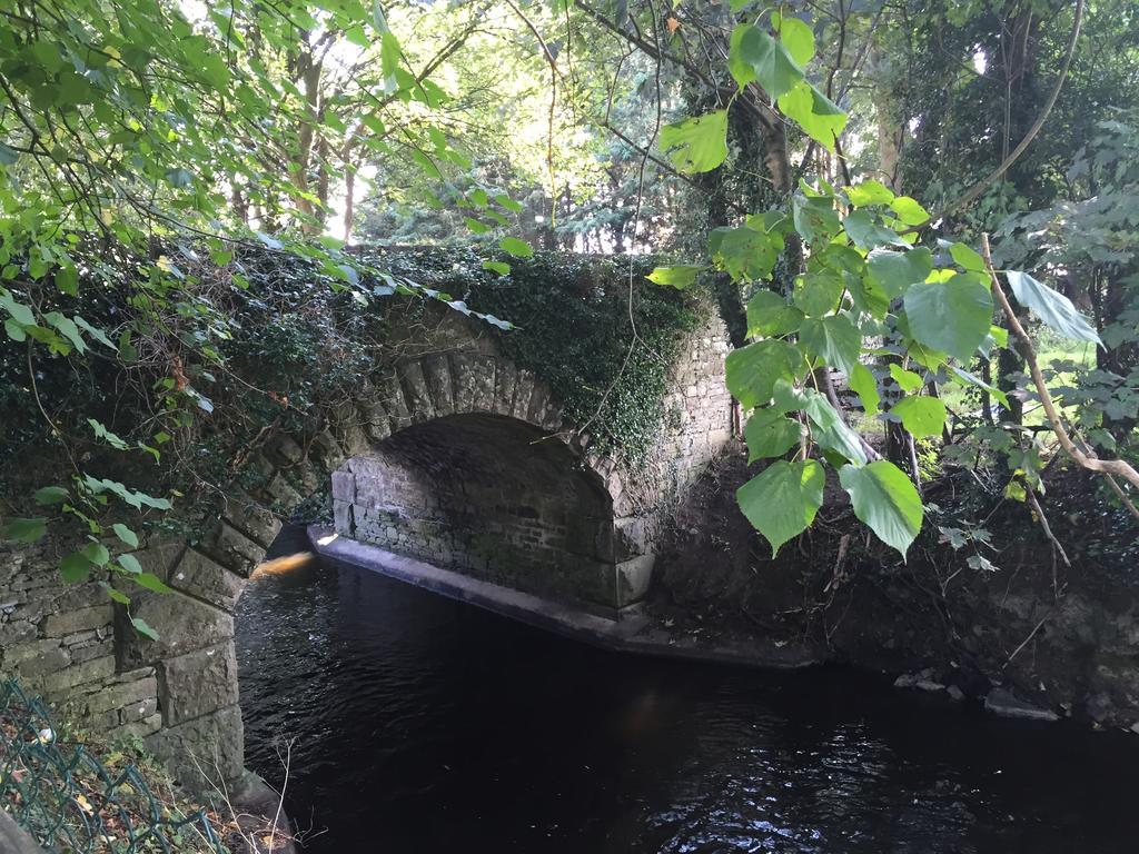 Riverbank, Country Pub And Guesthouse キャリックマクロス エクステリア 写真